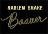 Baauer Harlem Shake